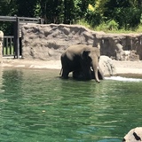 Entry image for Bath time