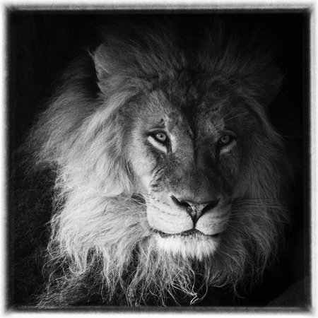 Entry image for Zuwadi in B&W. Clicking this image will show a larger photo