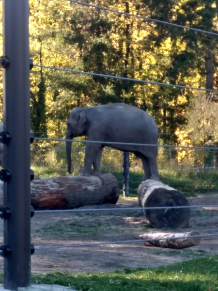 Entry image for Silly girl. Clicking this image will show a larger photo