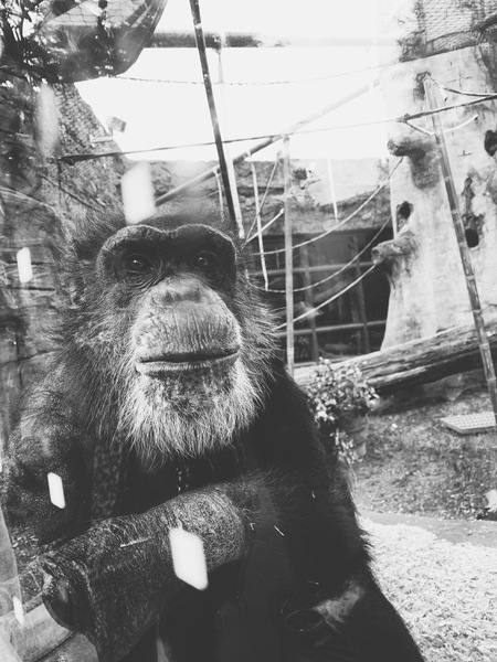 Entry image for Perspective . Clicking this image will show a larger photo