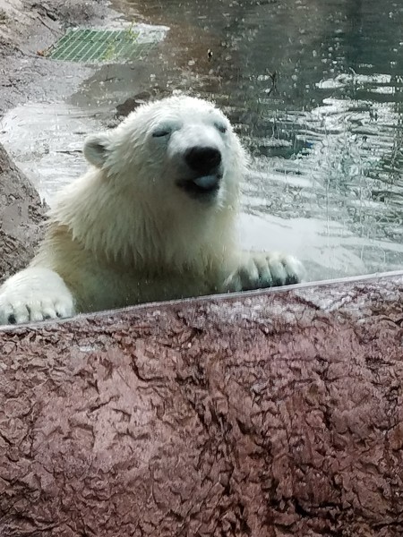 Entry image for I'll clean my side. Clicking this image will show a larger photo