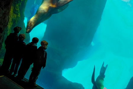 Entry image for Who's Watching Who. Clicking this image will show a larger photo