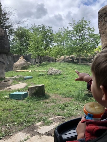 Entry image for Wow!. Clicking this image will show a larger photo