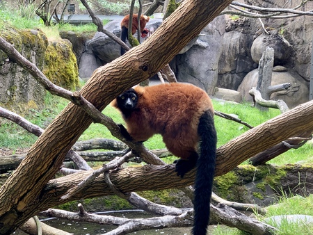 Entry image for Hello there!. Clicking this image will show a larger photo