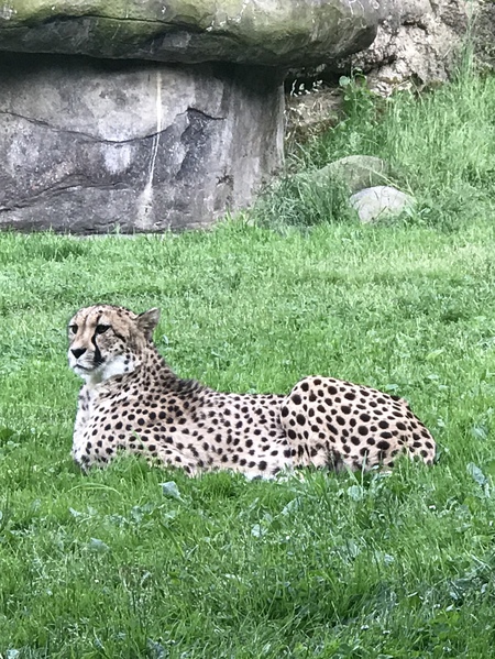 Entry image for Sitting Pretty . Clicking this image will show a larger photo