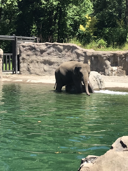 Entry image for Bath time. Clicking this image will show a larger photo