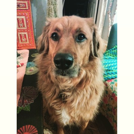 Oliver