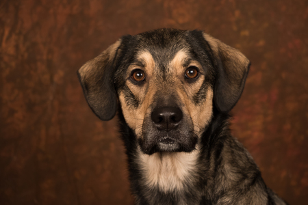 Otis