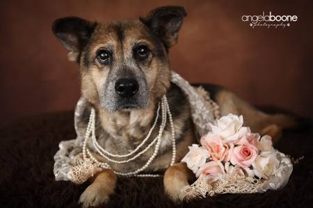 Cheyenne