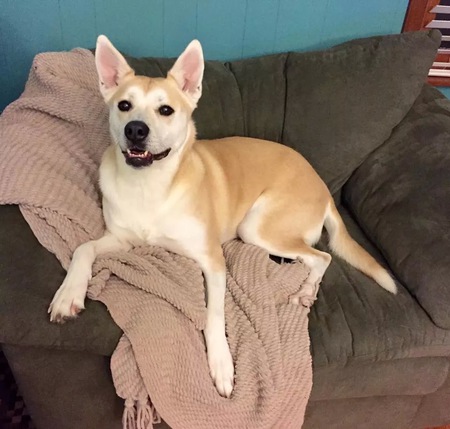 Mochi