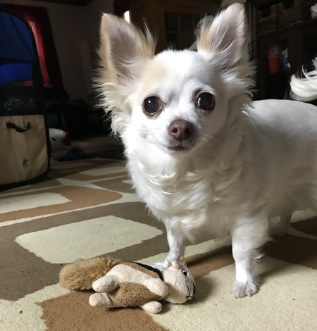 Penny