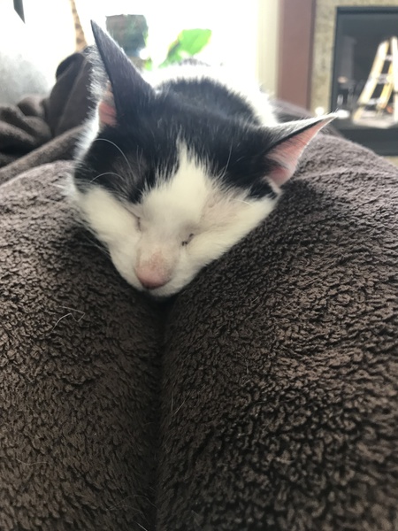Oscar