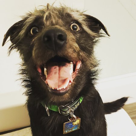 Oberon "Obie" Ham Farts of the Silver Mange