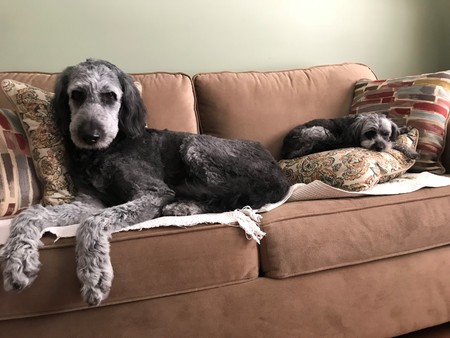 The Twins - Olaf and Bugglesworth 