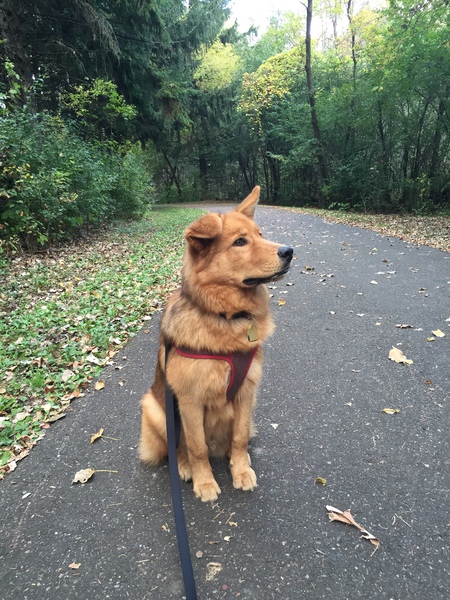 Tucker