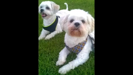 Scuff & Patches