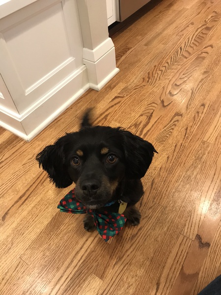 Charlie 