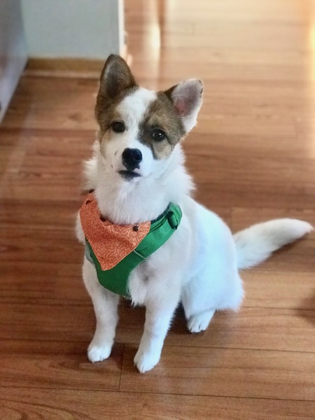 Zeke ("Z")