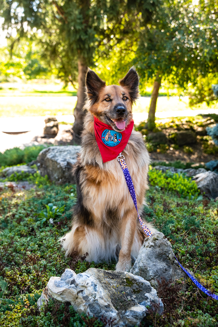 Daisy Mae Barkovnik