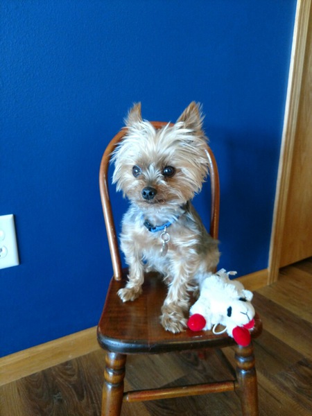 Riley