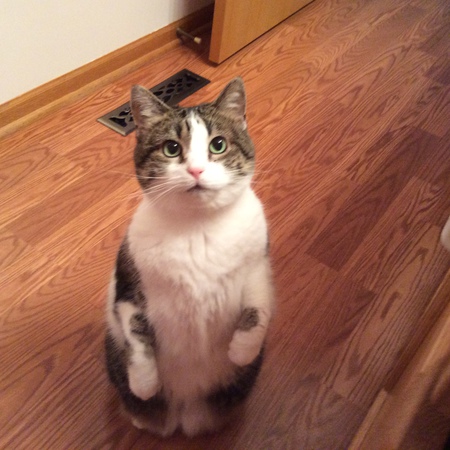 Maggie