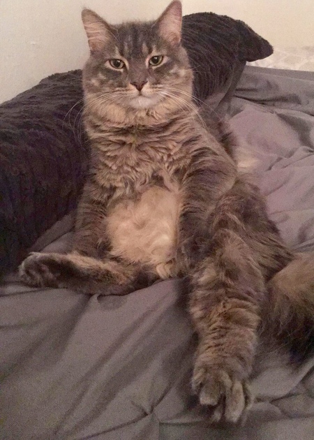Caesar