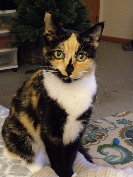 Delilah