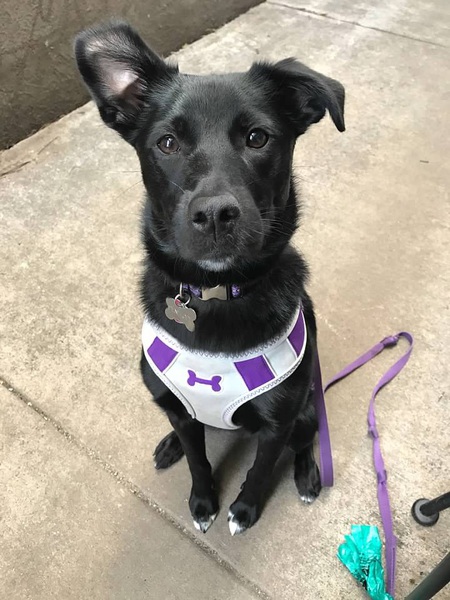 Penelope 