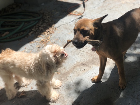 Beto and Rocky