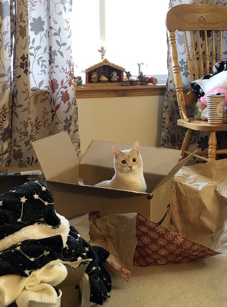 Mr. Sassypants 