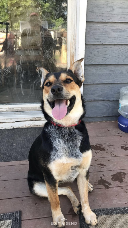Copper