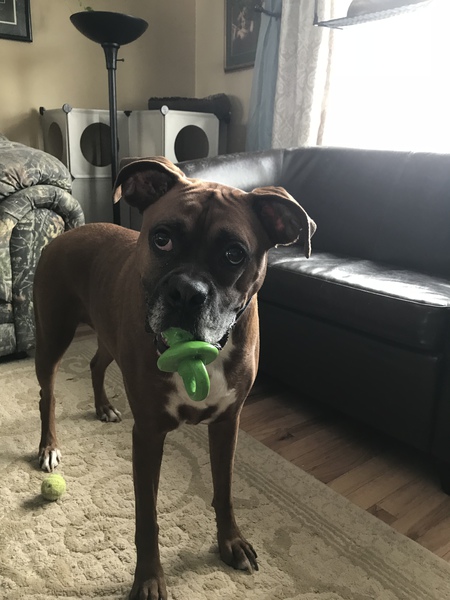 Tyson 