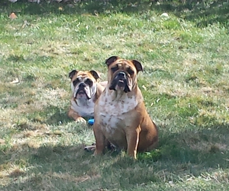 Buster and Lola 