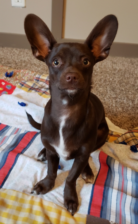 Max
