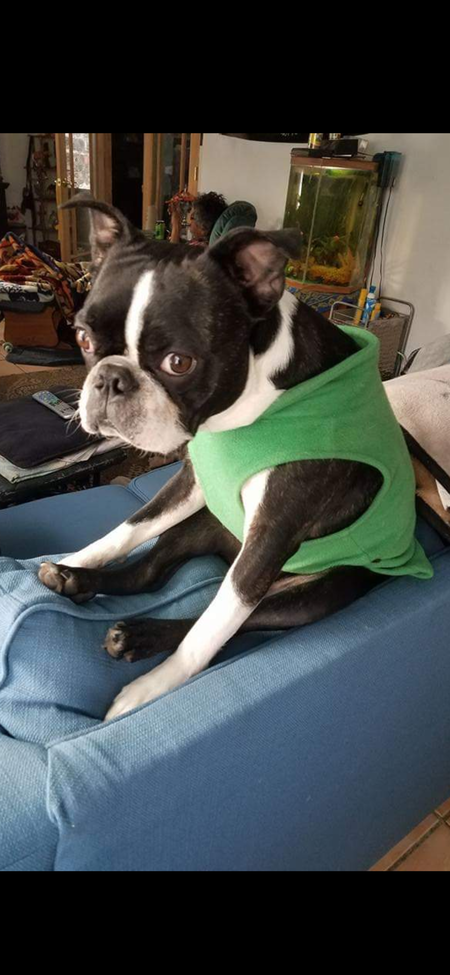 Vinny