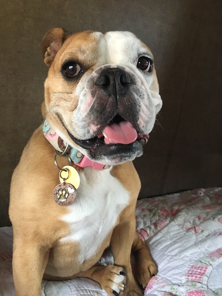 Bella