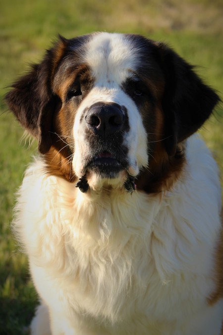 Murphy
