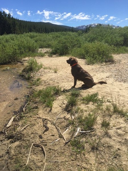 Cooper 