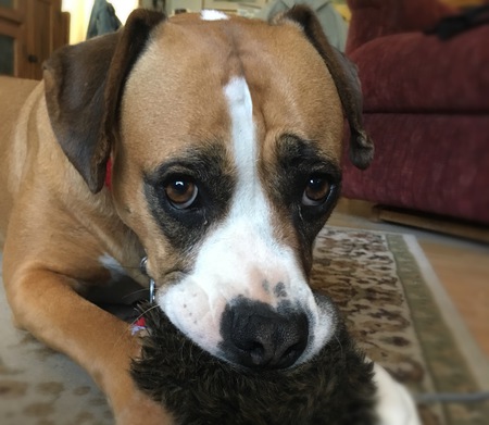 Zoey 