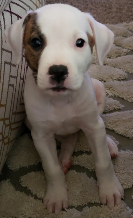 Molly