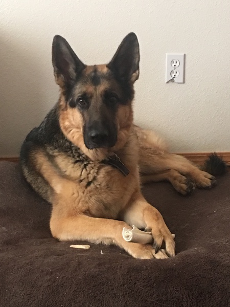 Sven