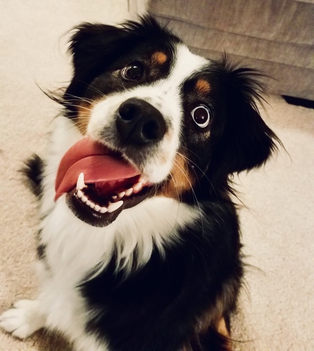Nina