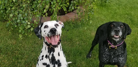 Axel and Belle