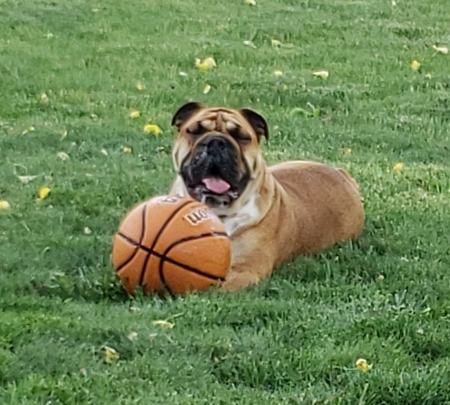 Mr. Buster Wrinkles 
