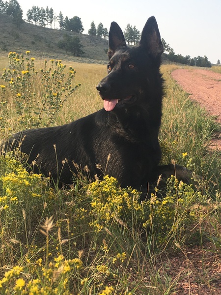 Summer days