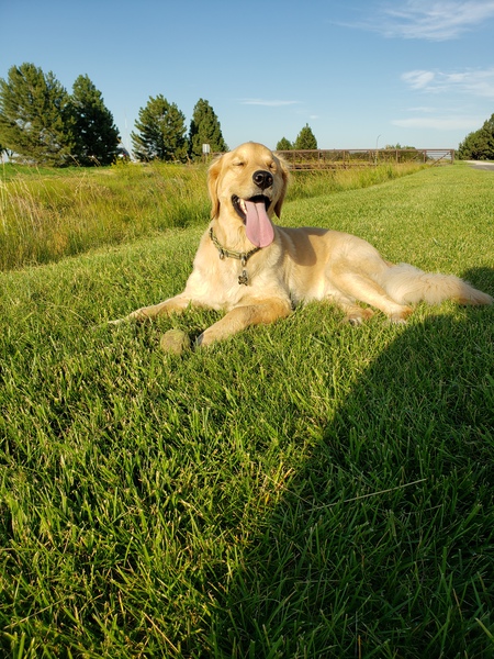 Hudson