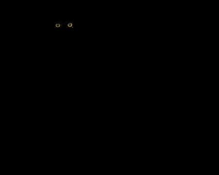 Moonlight