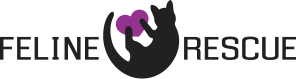 Logo for 2020 Kitty Calendar Photo Contest