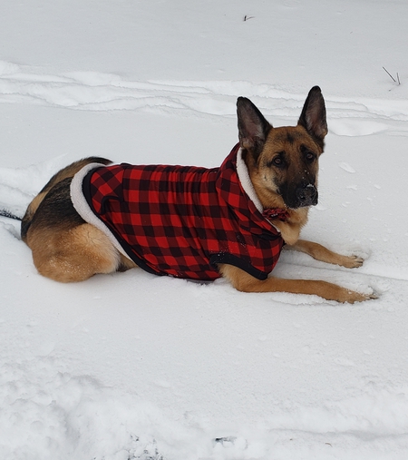 Meeka