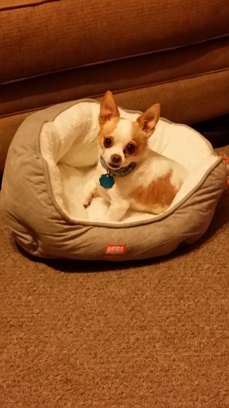 Oscar